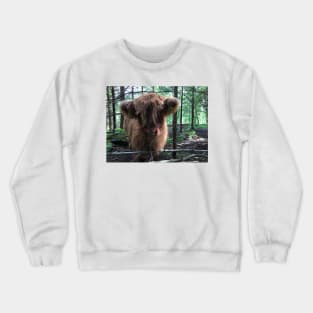 Scottish Highland Cattle Calf 1485 Crewneck Sweatshirt